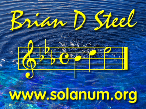 Brian D Steel