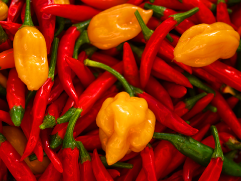 Hot Peppers Menu