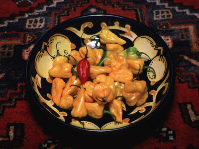 A Bowlful of Piment Ma Jacques